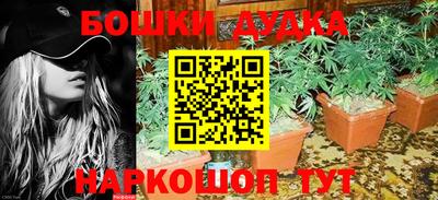 ПСИЛОЦИБИНОВЫЕ ГРИБЫ Будённовск
