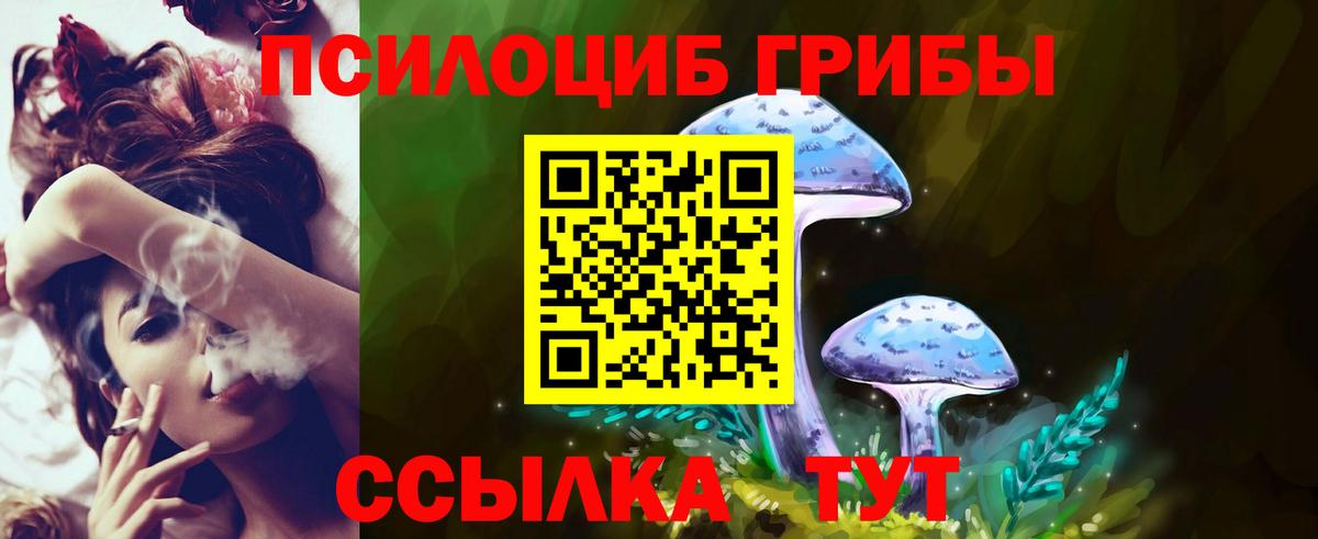 Галлюциногенные грибы ЛСД Евпатория
